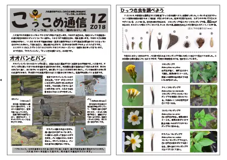 kokkome1812_1
