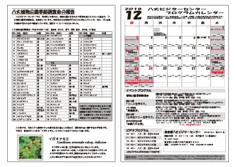 kokkome1812_2