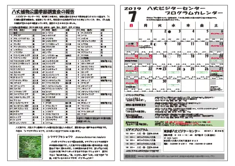 kokkome1907_2