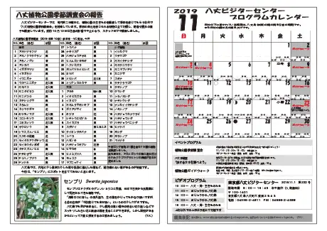 kokkome1911_2