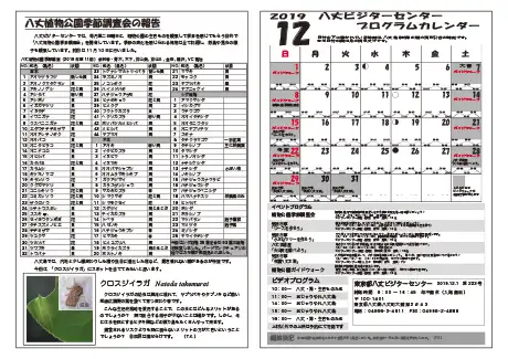 kokkome1912_2