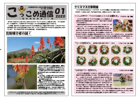 kokkome2001_1