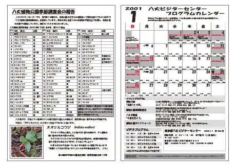 kokkome2001_2