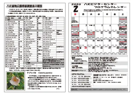 kokkome2002_2