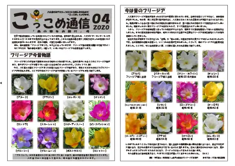 kokkome2004_1