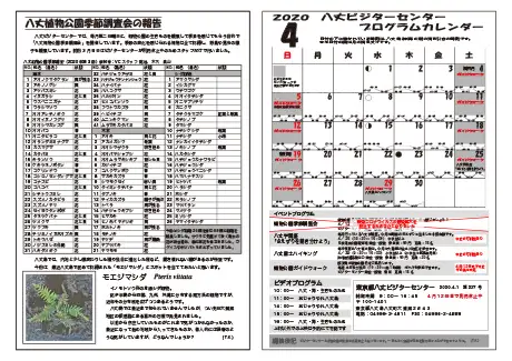 kokkome2004_2