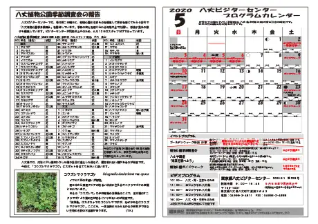 kokkome2005_2