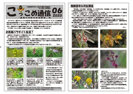 kokkome2006_1