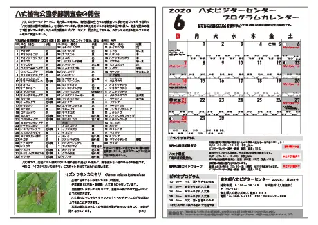 kokkome2006_2