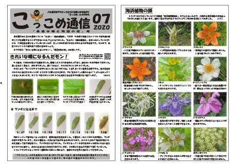kokkome2007_1
