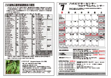 kokkome2007_2