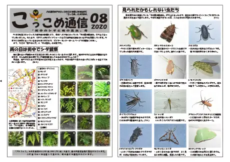 kokkome2008_1