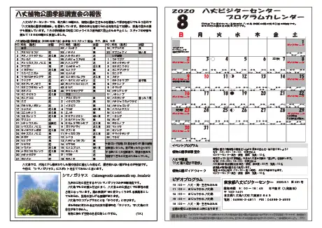 kokkome2008_2