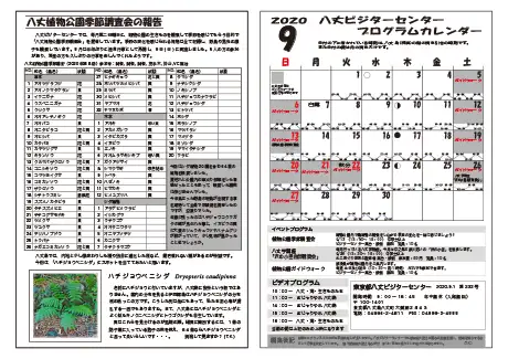kokkome2009_2