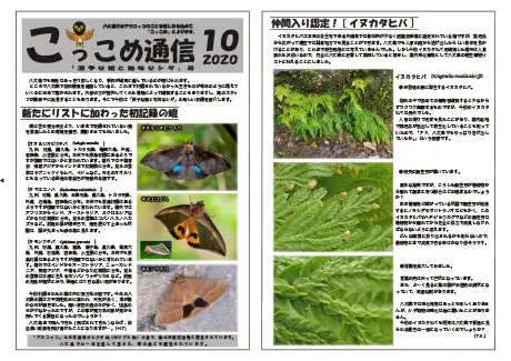 kokkome2010_1