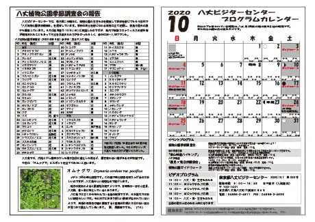 kokkome2010_2