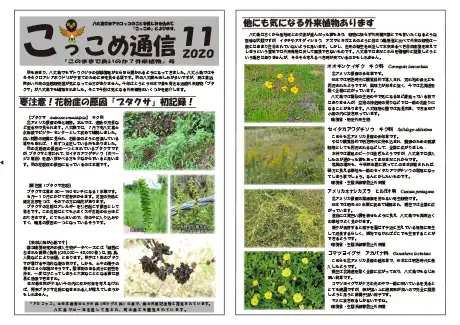 kokkome2011_1
