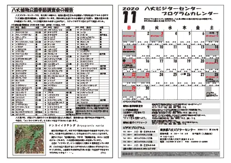 kokkome2011_2