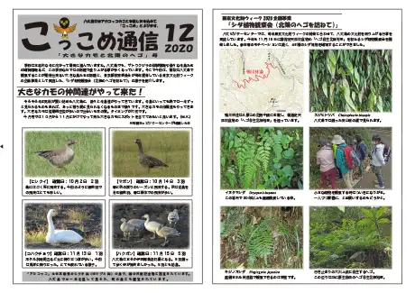 kokkome2012_1