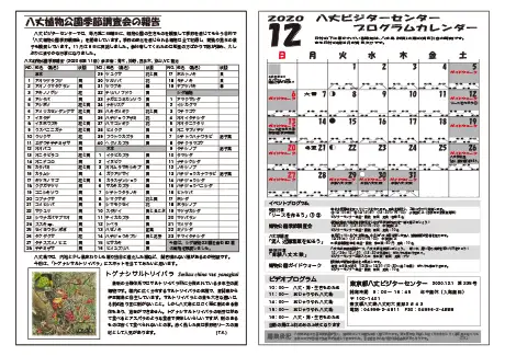 kokkome2012_2