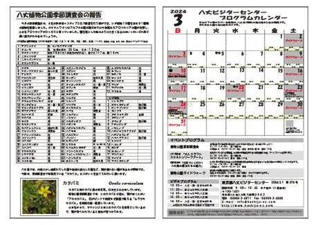 kokkome2403_2
