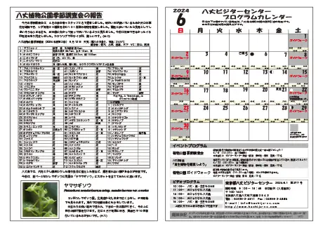 kokkome2406_2