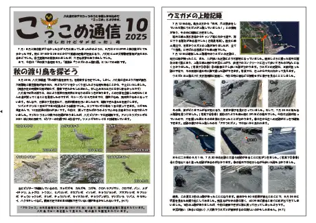 kokkome2410_1