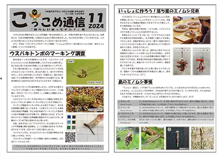 kokkome2411_1