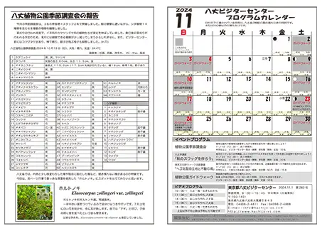 kokkome2411_2