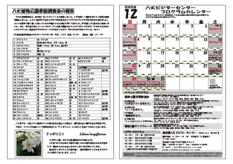 kokkome2412_2