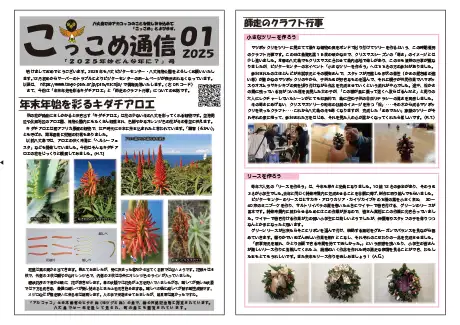 kokkome2501_1