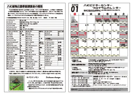 kokkome2501_2