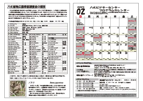 kokkome2502_2