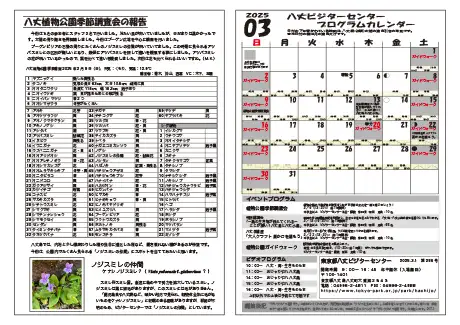 kokkome2503_2