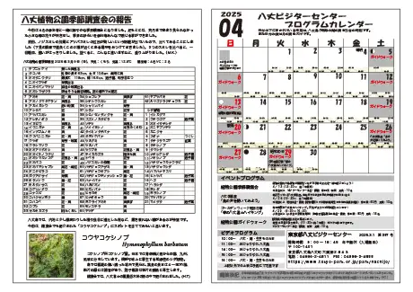 kokkome2504_2