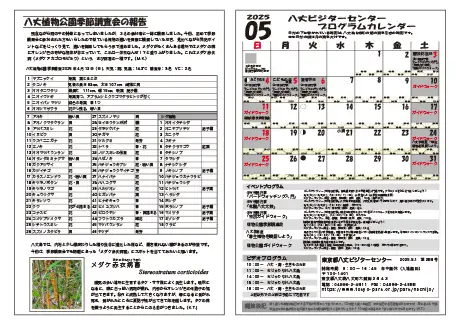 kokkome2505_2