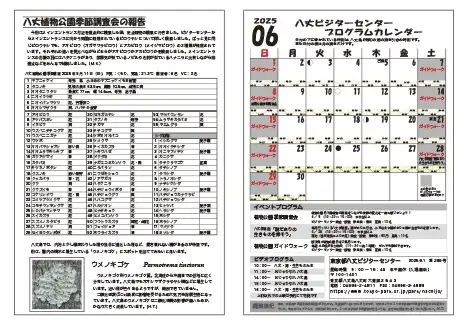 kokkome2506_2
