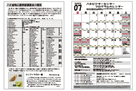 kokkome2507_2