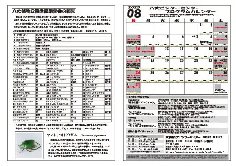 kokkome2508_2