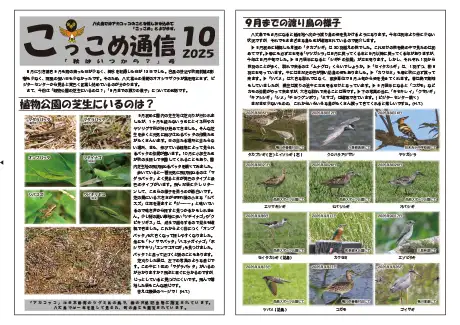 kokkome2510_1