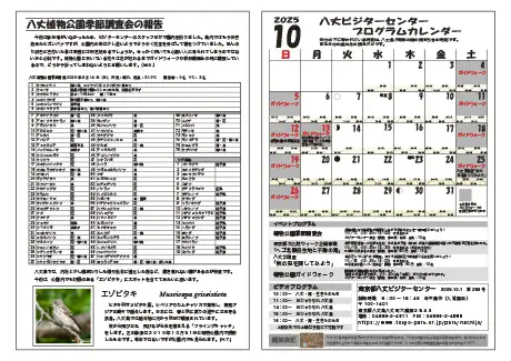 kokkome2510_2