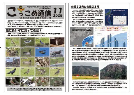 kokkome2511_1