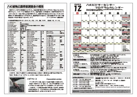 kokkome2512_2