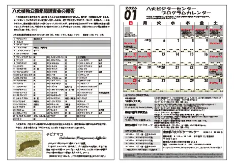 kokkome2601_2