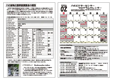 kokkome2602_2