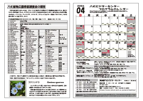 kokkome2604_2