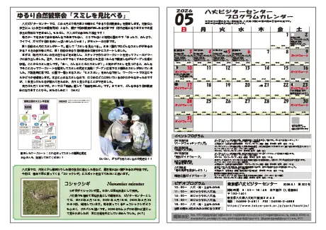 kokkome2605_2