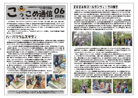 kokkome2606_1
