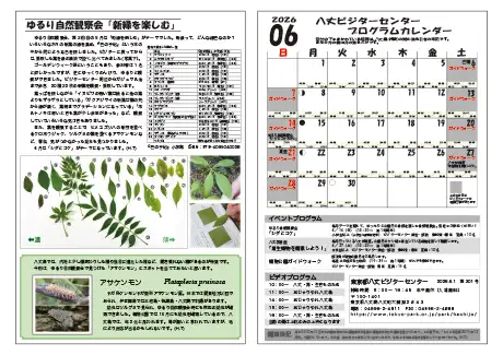 kokkome2606_2