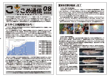 kokkome2608_1